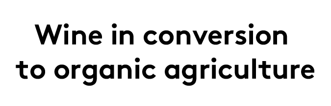Bio